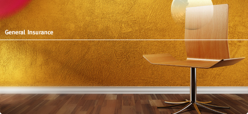 section_generalinsurance